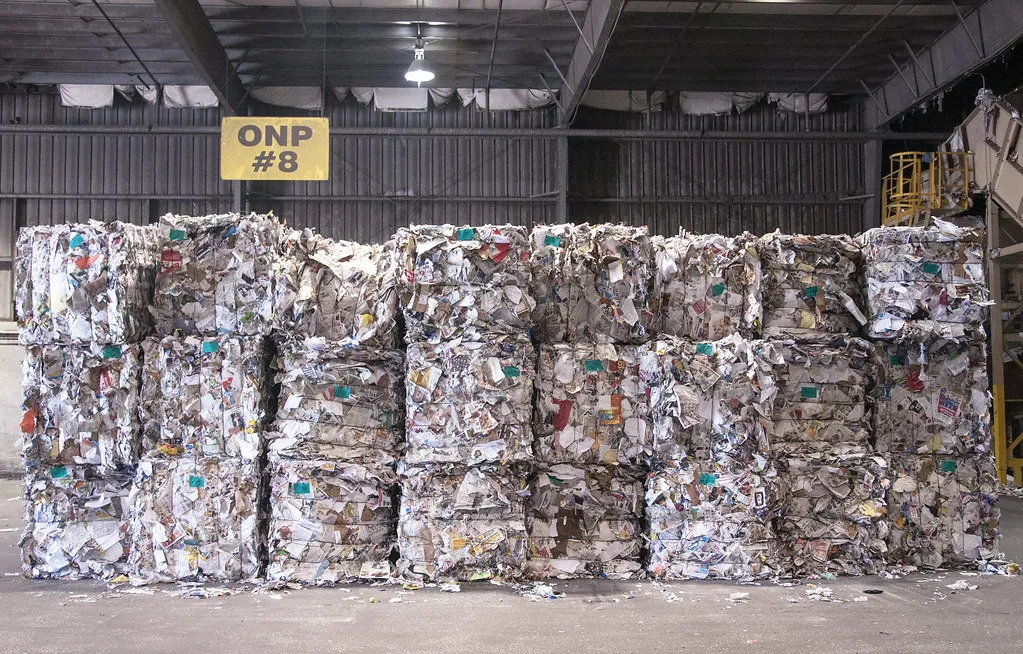 Why Buying Waste Paper is the New Gold Rush for Eco-Smart Businesses?